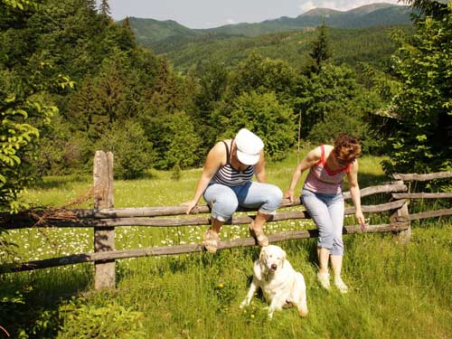 Foto Scurt popas suind spre Cavnic (c) Petru Goja